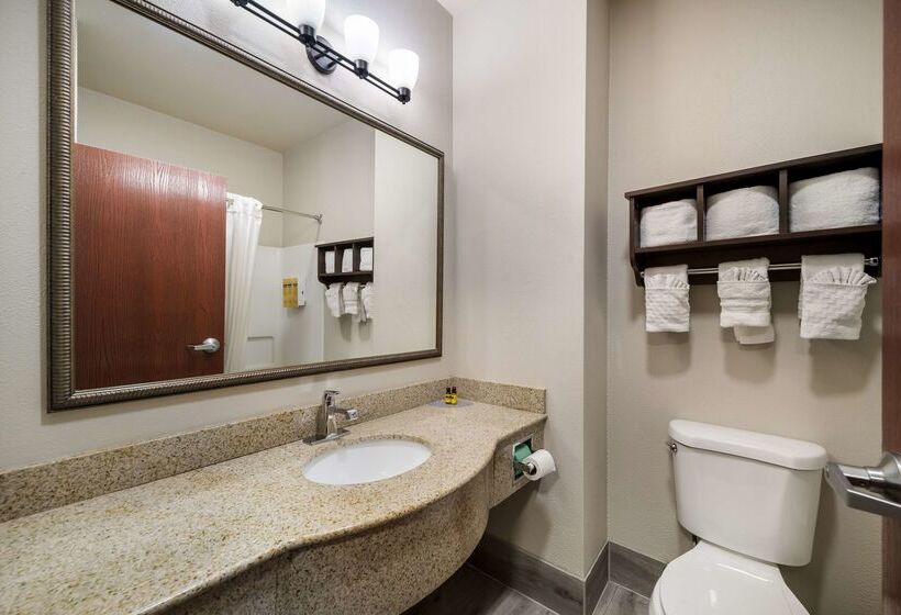 Отель Best Western Plus Lake Dallas Inn & Suites