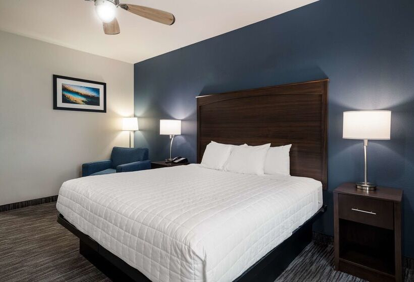 Отель Best Western Plus Lake Dallas Inn & Suites