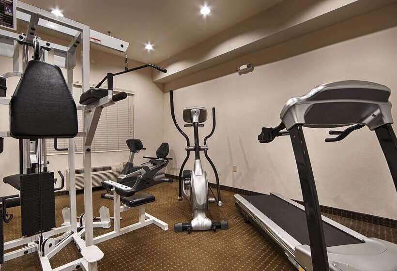 Отель Best Western Plus Lake Elsinore Inn & Suites