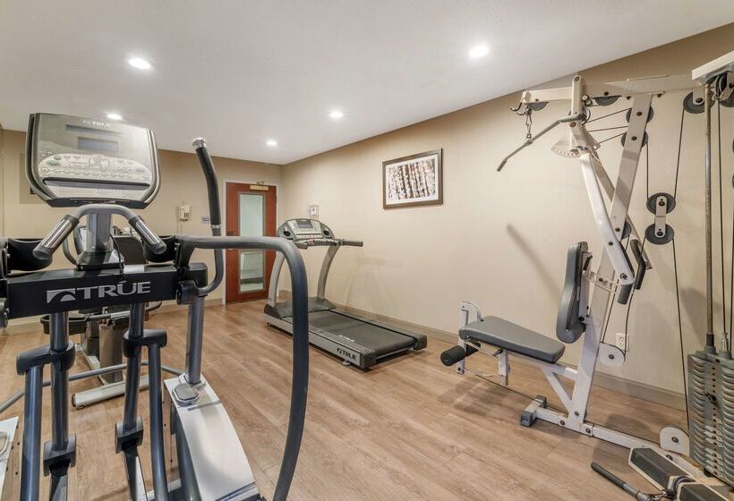 호텔 Best Western Liverpool Syracuse Inn & Suites