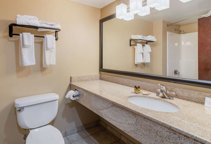 호텔 Best Western Liverpool Syracuse Inn & Suites