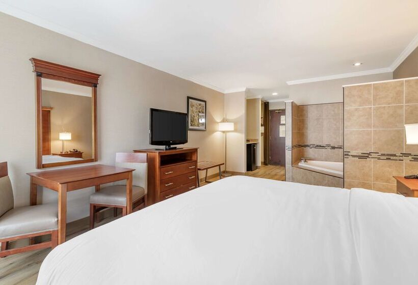 호텔 Best Western Liverpool Syracuse Inn & Suites