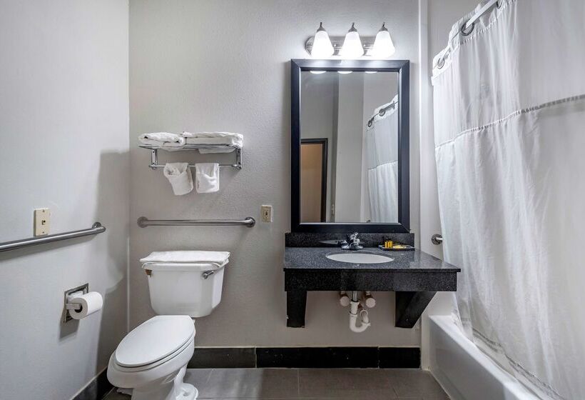 ホテル Best Western Plus Mckinney Inn And Suites