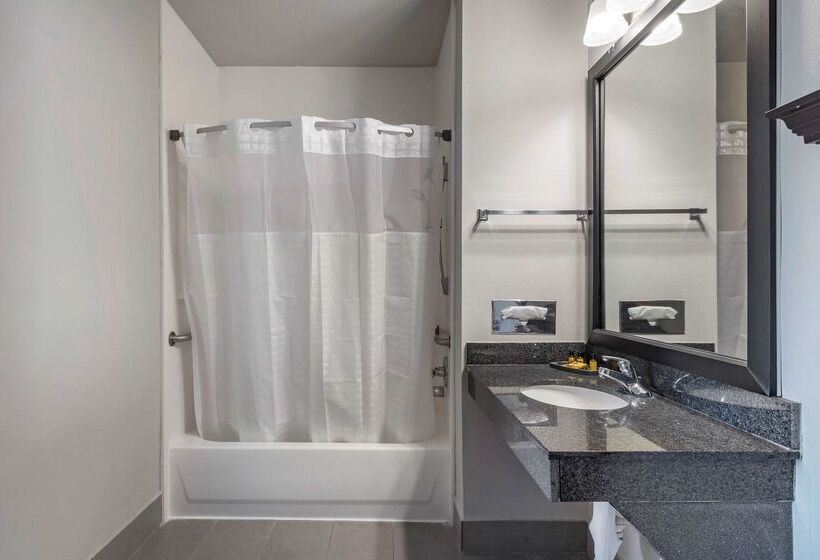 ホテル Best Western Plus Mckinney Inn And Suites