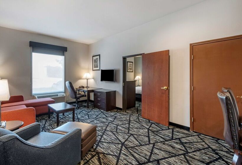 ホテル Best Western Plus Mckinney Inn And Suites