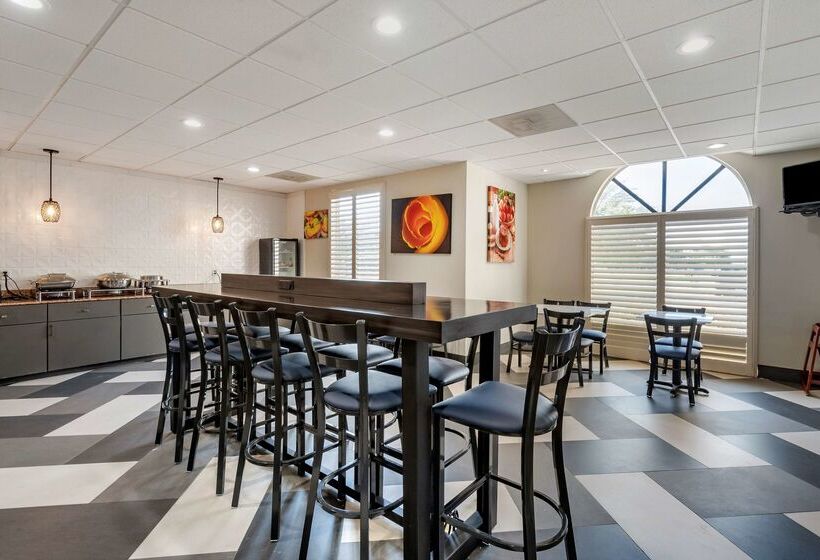 ホテル Best Western Plus Mckinney Inn And Suites