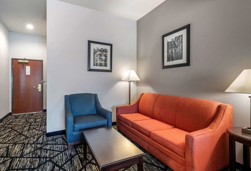 ホテル Best Western Plus Mckinney Inn And Suites