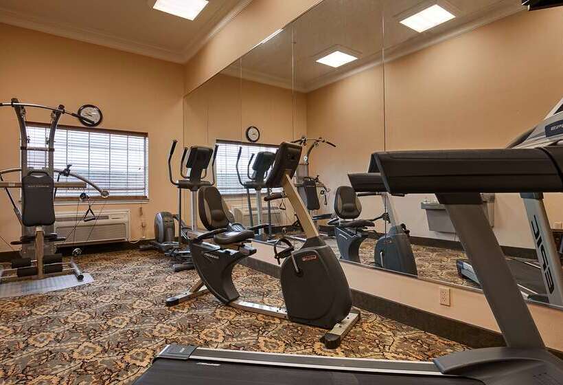 호텔 Best Western Plus New Caney Inn & Suites