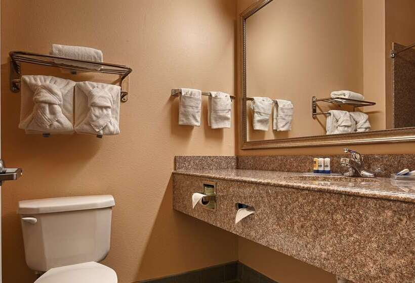 호텔 Best Western Plus New Caney Inn & Suites