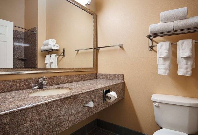 호텔 Best Western Plus New Caney Inn & Suites