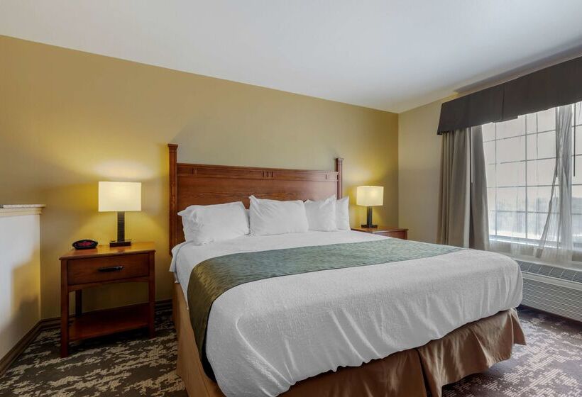 בית מלון כפרי Best Western Plus Red River Inn
