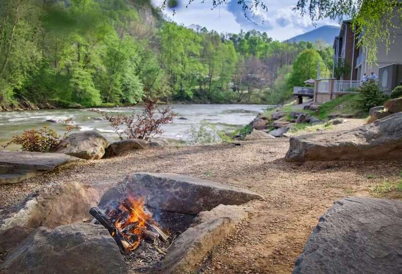 ホテル Best Western Plus River Escape Sylva / Dillsboro