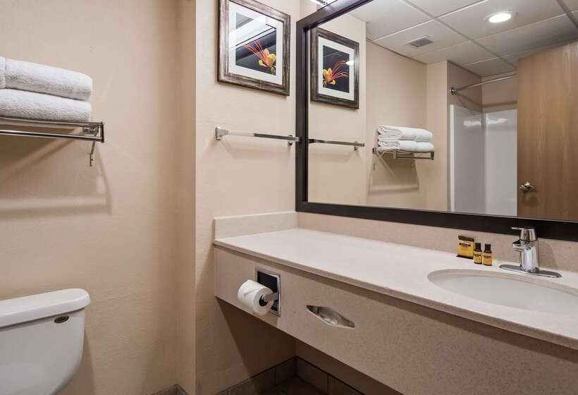 酒店 Best Western Plus Ruidoso Inn