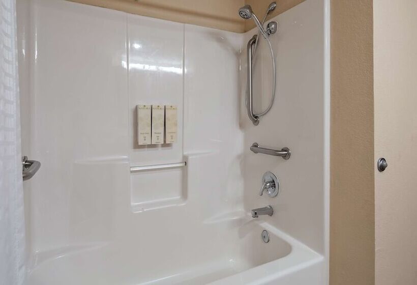 酒店 Best Western Plus Ruidoso Inn