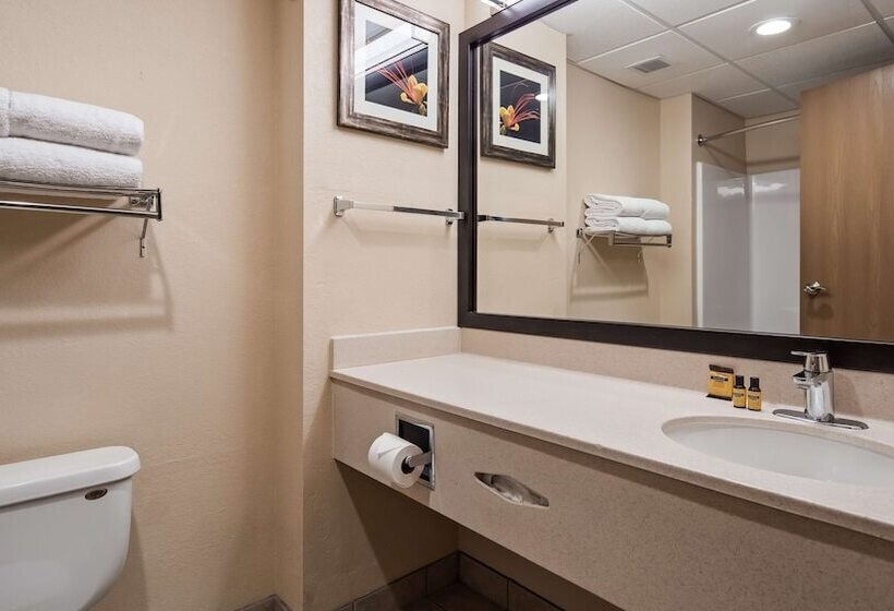 酒店 Best Western Plus Ruidoso Inn