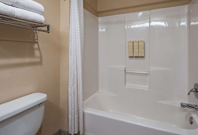 酒店 Best Western Plus Ruidoso Inn