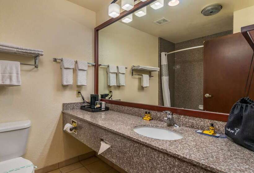 Отель Best Western Plus Shamrock Inn & Suites