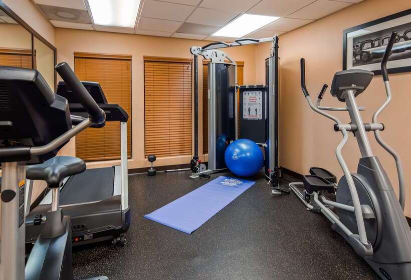 فندق Best Western Plus The Woodlands