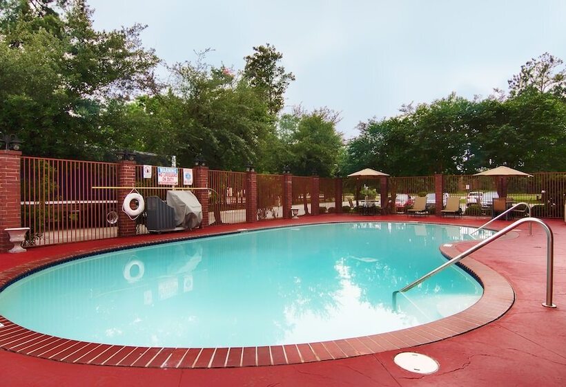 فندق Best Western Plus The Woodlands