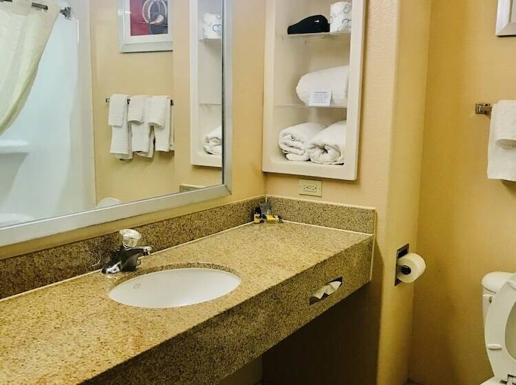 فندق Best Western Plus The Woodlands