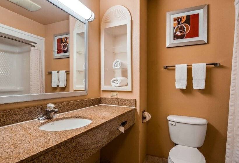 فندق Best Western Plus The Woodlands