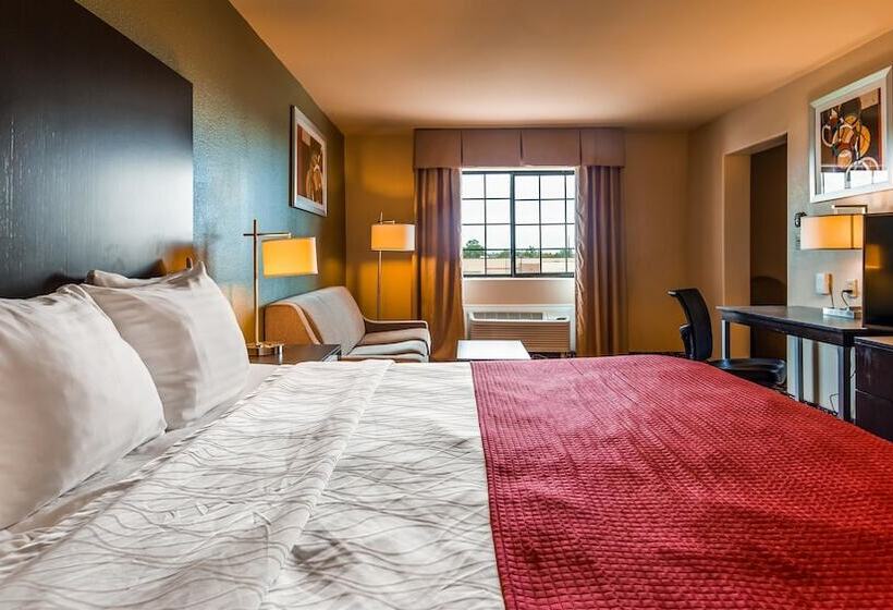 فندق Best Western Plus The Woodlands