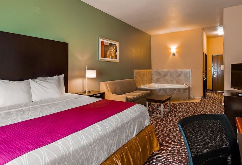 فندق Best Western Plus The Woodlands