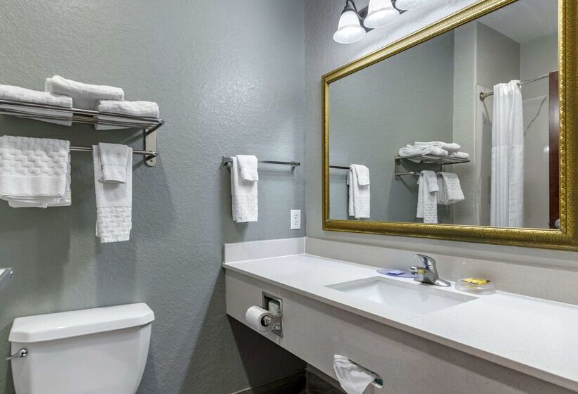 Отель Best Western Plus Victoria Inn & Suites