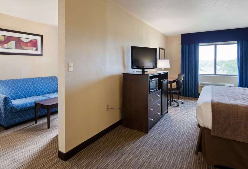 Отель Best Western Port Huron Blue Water Bridge