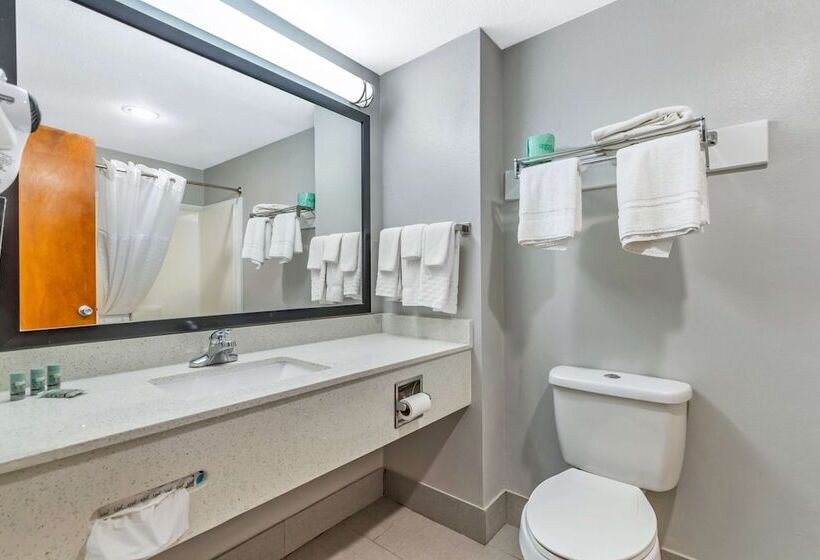 酒店 Best Western Port Lavaca Inn