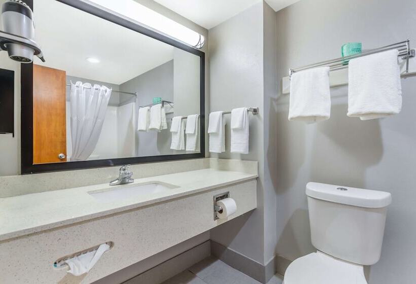 酒店 Best Western Port Lavaca Inn