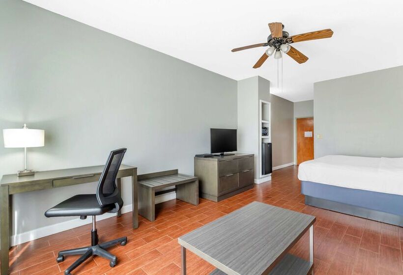 酒店 Best Western Port Lavaca Inn