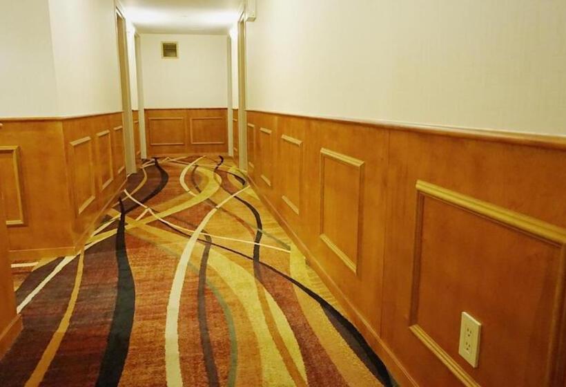 فندق Best Western Queens Court