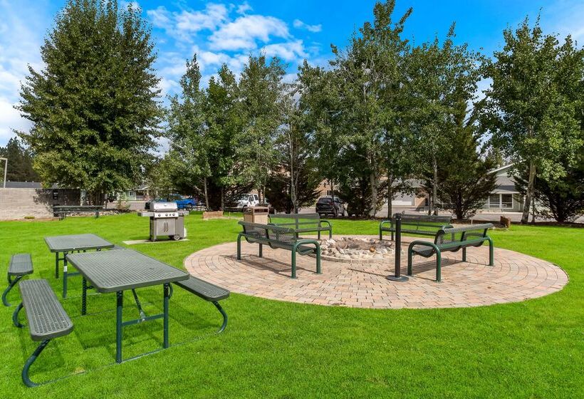 ホテル Best Western Rose Quartz Inn