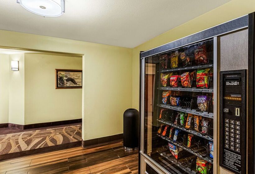 ホテル Best Western Rose Quartz Inn