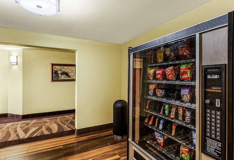 ホテル Best Western Rose Quartz Inn