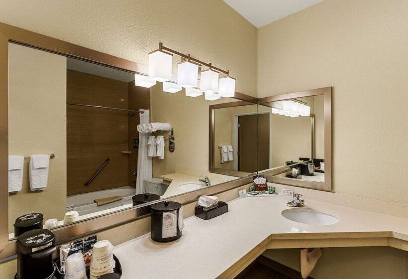 ホテル Best Western Rose Quartz Inn