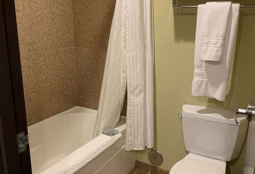 فندق Best Western Snowcap Lodge