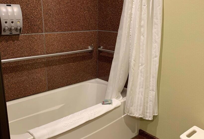 فندق Best Western Snowcap Lodge