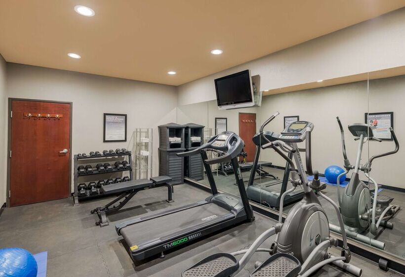 호텔 Best Western South Plains Inn & Suites