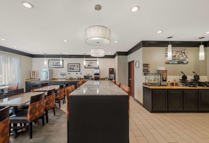 호텔 Best Western South Plains Inn & Suites