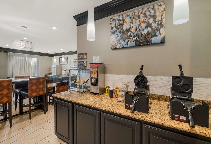 호텔 Best Western South Plains Inn & Suites