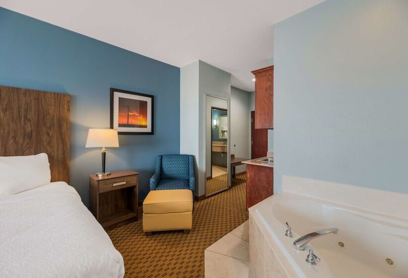 호텔 Best Western South Plains Inn & Suites