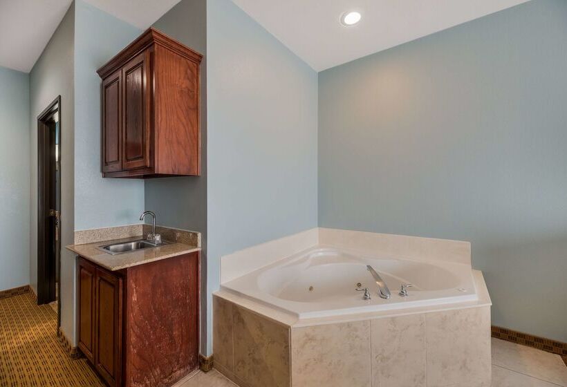 호텔 Best Western South Plains Inn & Suites