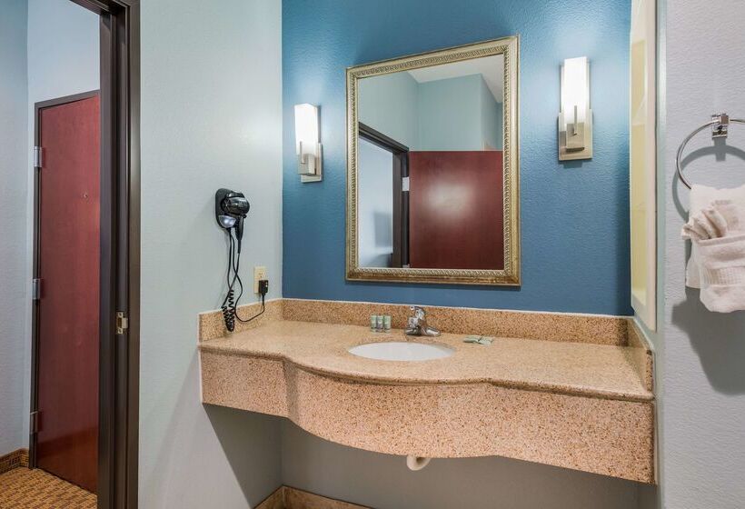 호텔 Best Western South Plains Inn & Suites