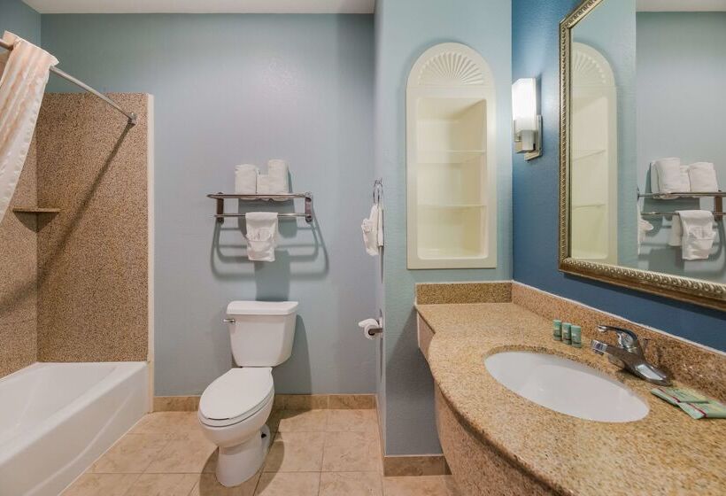 호텔 Best Western South Plains Inn & Suites