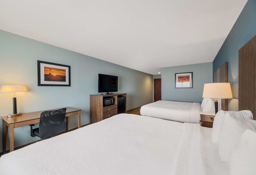 호텔 Best Western South Plains Inn & Suites