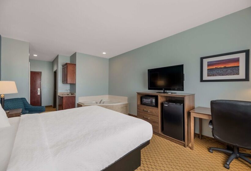 호텔 Best Western South Plains Inn & Suites