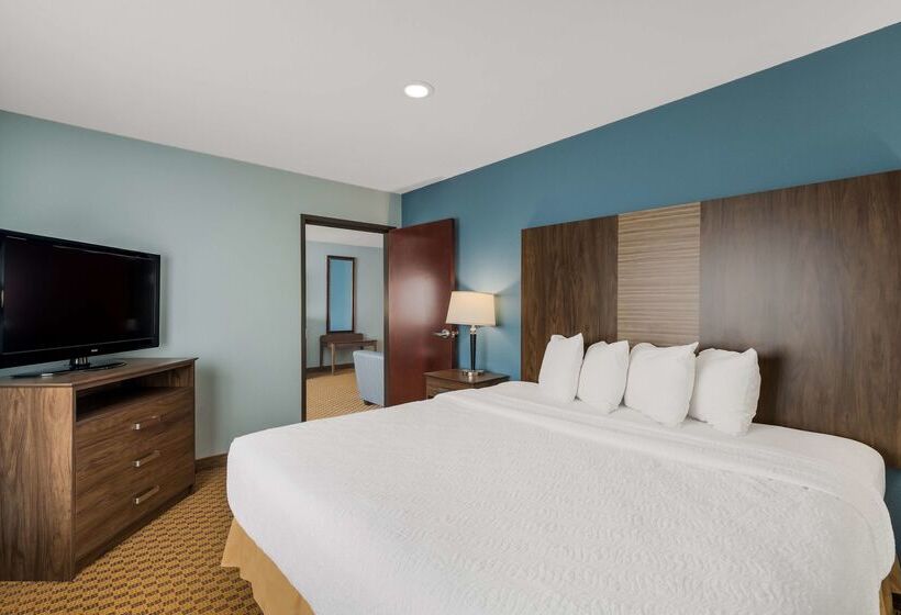 호텔 Best Western South Plains Inn & Suites