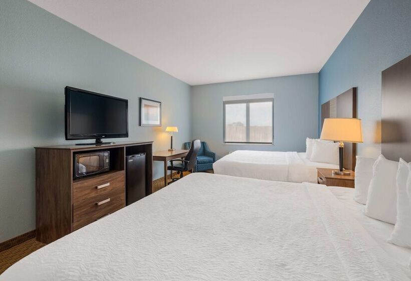 호텔 Best Western South Plains Inn & Suites